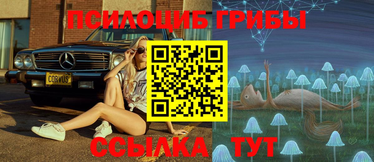Павловский Посад  Галлюциногенные грибы прущие грибы  Псилоцибиновые грибы MAGIC MUSHROOMS  Вход с VPN 