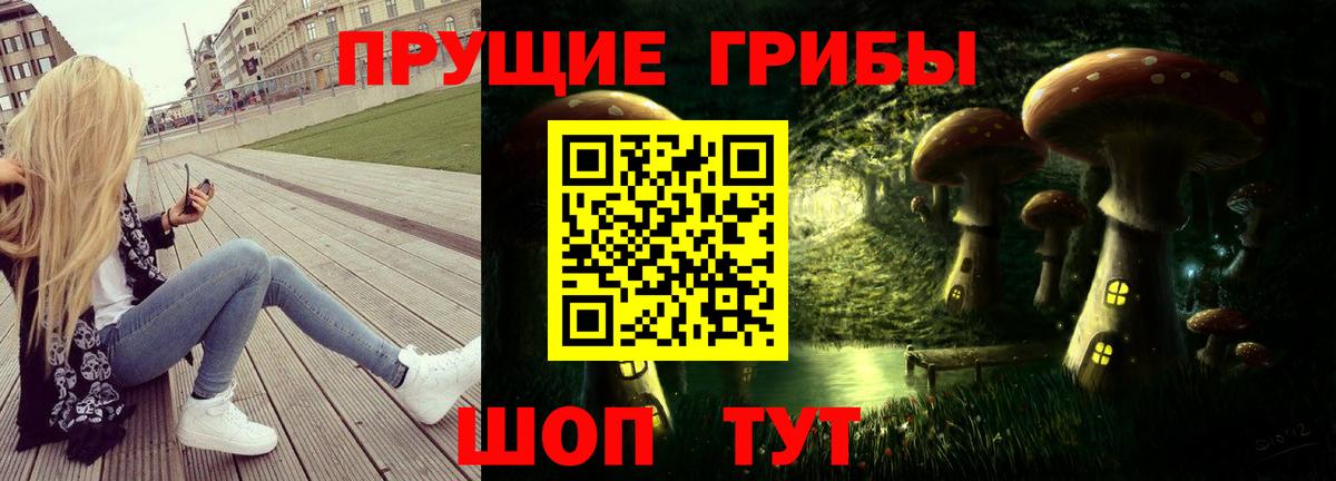 Псилоцибиновые грибы Cubensis Павловский Посад